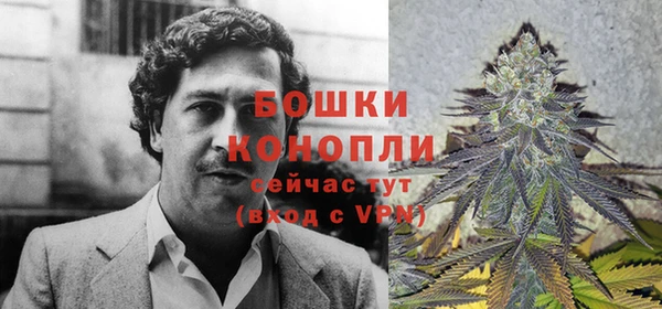 2c-b Верхний Тагил