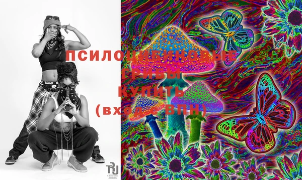 2c-b Верхний Тагил