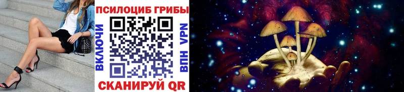 Галлюциногенные грибы прущие грибы  где купить наркоту  мориарти какой сайт  Гай 